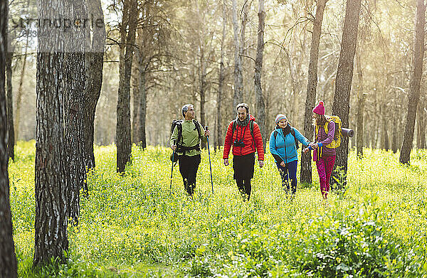 Friends trekking together in forest