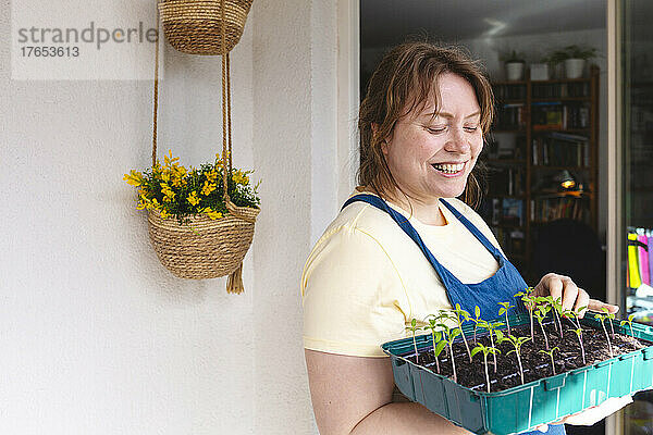 Glückliche Frau mit einem Tablett mit Tomatensämlingen  die auf dem Balkon steht