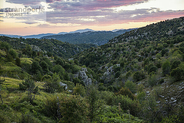 Griechenland  Epirus  Grüne Flora bedeckt Hügel im Vikos-Aoos-Nationalpark in der Sommerdämmerung