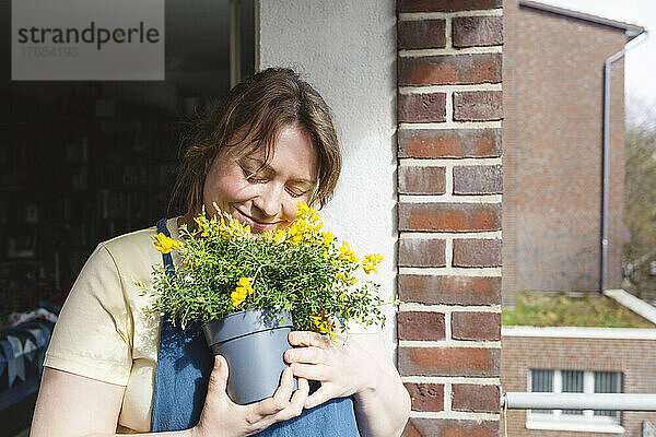 Lächelnde Frau mit geschlossenen Augen umarmt an einem sonnigen Tag eine süße Ginster-Topfpflanze auf dem Balkon