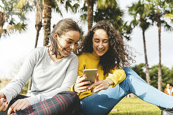 Fröhliche Freunde  die an einem sonnigen Tag im Park sitzen und ihr Mobiltelefon teilen