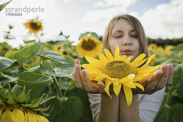 Frau hält gelbe Sonnenblume im Feld