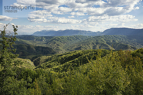 Griechenland  Epirus  grüne Berglandschaft des Vikos-Aoos-Nationalparks im Sommer