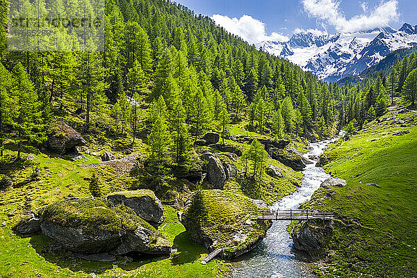 Italien  Südtirol  Drohnenansicht des Passeiertals im Sommer