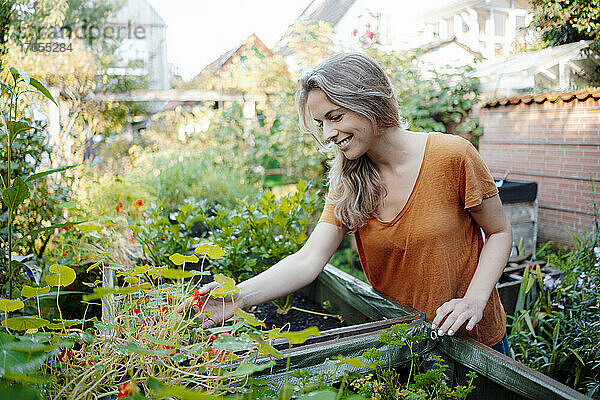 Lächelnde blonde Frau berührt Pflanzen im Hinterhof