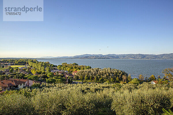 Blick auf den Trasimenischen See an einem sonnigen Tag  Castiglione del Lago  Umbrien  Italien