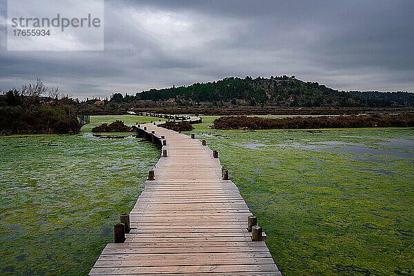 Gehweg auf einem Teich voller Algen in einem Naturschutzgebiet in Frankreich