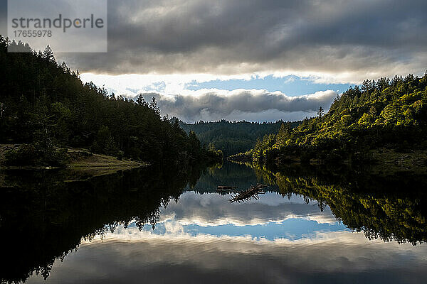 Grüne Landschaft und bewölkter Himmel spiegeln sich im stillen Wasser des Sees