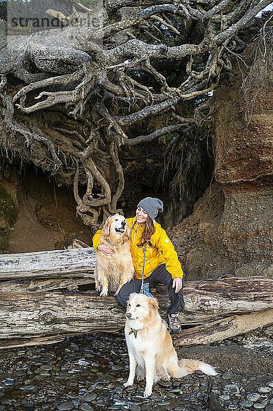 Glückliches Weibchen am Baum des Lebens an der Olympic Coast