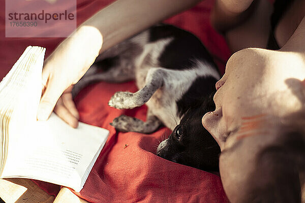 Winziger kleiner Chihuahua liegt auf Decke  während Frau in der Sonne liest