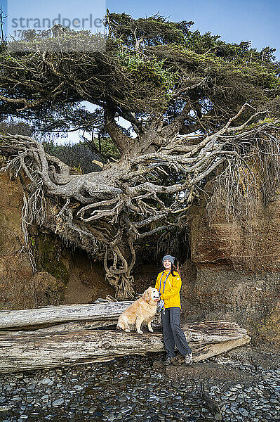 Frau posiert mit ihrem Hund am Baum des Lebens an der Olympic Coast