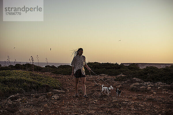 Eine Person geht bei Sonnenuntergang mit zwei Chihuahuas entlang der Meeresklippen in Portugal
