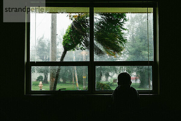 Silhouette eines Jungen  der aus dem Fenster einen tropischen Taifun beobachtet