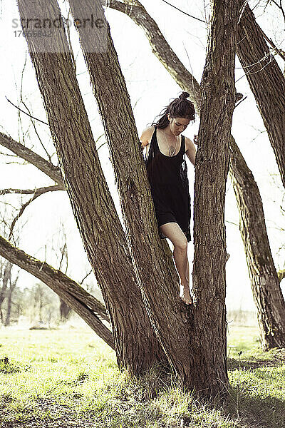 Natürliche Frau im schwarzen Kleid barfuß im Baum und Sonnenschein in Deutschland