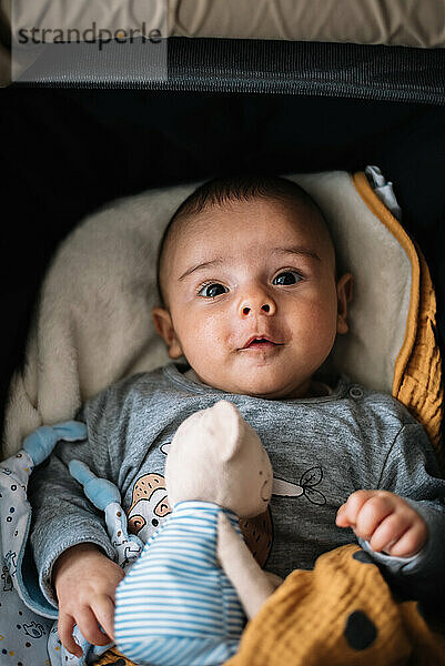 Baby liegt im Kinderwagen. Glücklich neben ihrem Teddybären.