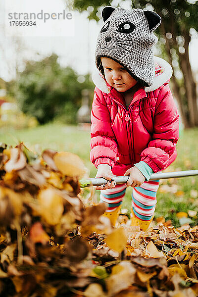 Kleinkind schaufelt draußen im Hinterhof einen Haufen Blätter auf