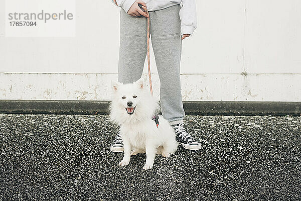 Mädchen steht und hält eine Leine für einen kleinen  süßen  flauschigen Hund