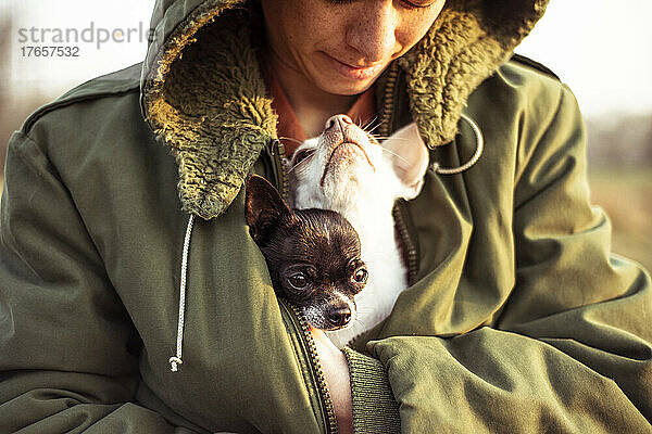 Süße Hunde in einer warmen Jacke blicken im Sonnenlicht liebevoll zu Mama auf