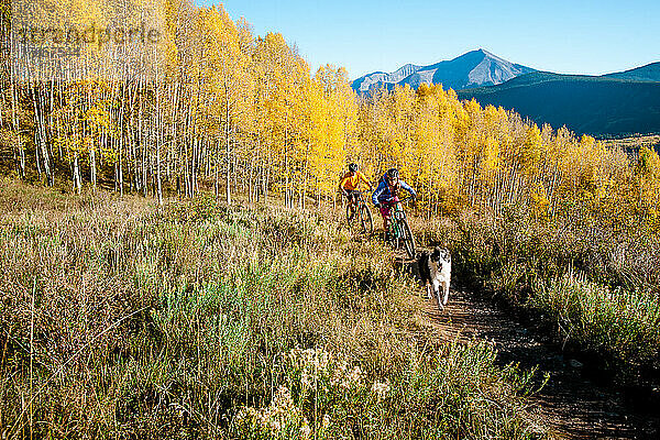 Ein Paar genießt im Herbst eine Mountainbiketour mit seinem Hund