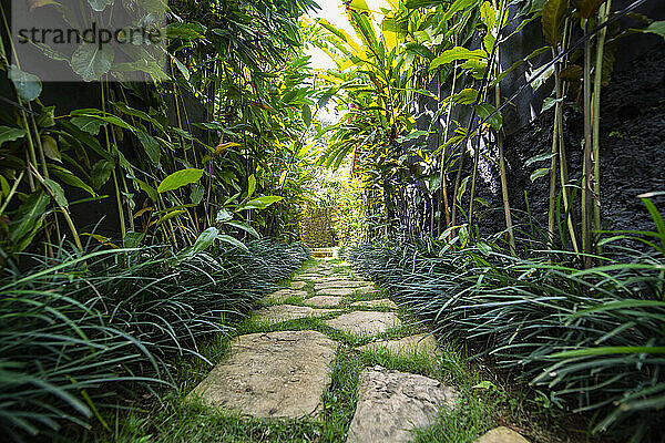 Gartenweg im Luxusresort auf Bali