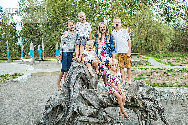 Porträt barfüßiger Kinder  die auf einem großen Baumstumpf im Park spielen.