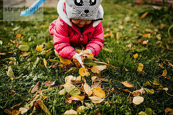 Nahaufnahme eines kleinen Mädchens  das draußen einen Haufen gelber Blätter aufsammelt