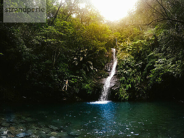 Junge genießt tropischen Pool mit wunderschönem Wasserfall in grünen Landschaften