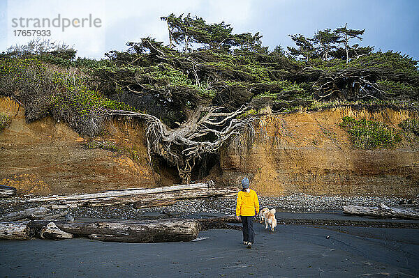 Frau geht mit ihrem Hund am Baum des Lebens an der Olympic Coast spazieren