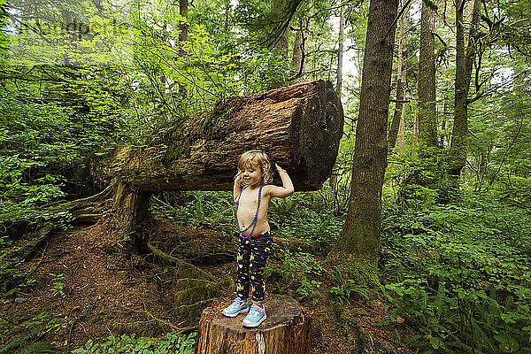 Ein junges Mädchen steht auf einem Baumstumpf unter einem umgestürzten Baum im Wald