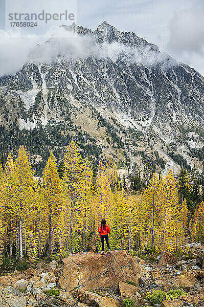 Fitte Frau posiert in einem Wald aus Alpenlärchen und Mount Stewart