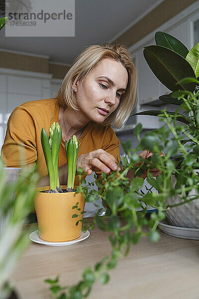 Eine nette Frau in einer gelben Jacke kümmert sich um Zimmerpflanzen.
