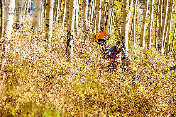 Ein Paar genießt im Herbst eine Mountainbiketour mit seinem Hund