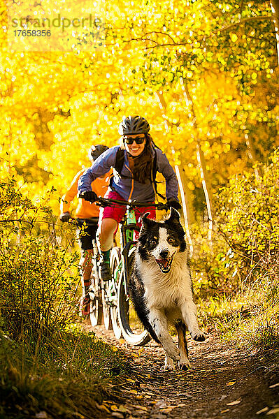 Ein Paar genießt im Herbst eine Mountainbiketour mit seinem Hund