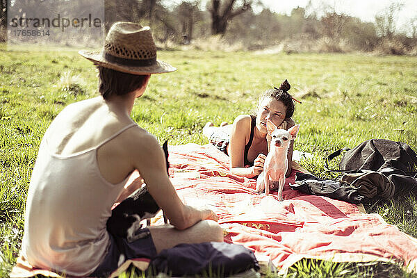 Freunde mit Chihuahua-Hunden unterhalten sich draußen beim Picknick in der Wiesensonne