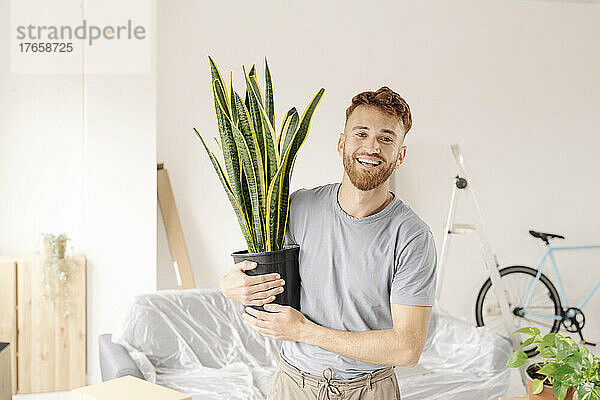 Glücklicher junger Mann hält Pflanze in neuer Wohnung und blickt in die Kamera