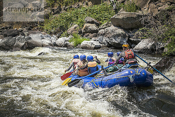 A raft rides into big whitewater.