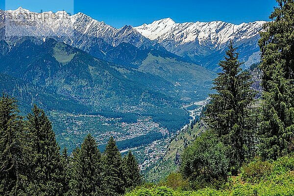 Spring meadow in Kullu valley in Himalaya mountains. Himachal Pradesh  India