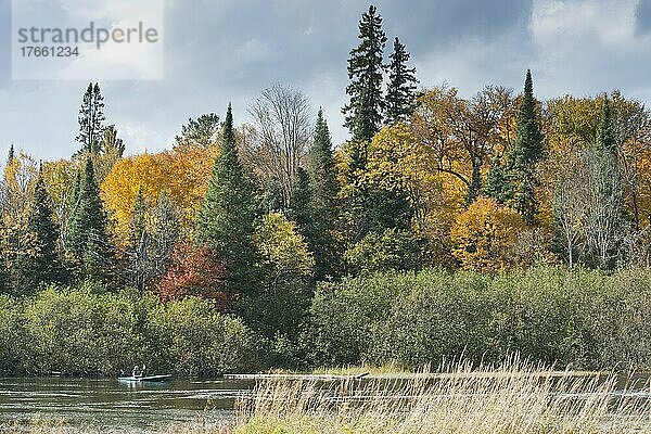 Herbstfarben im Algonquin Park  Indian Summer  Kanada  Nordamerika