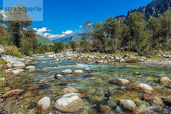 Beas River  near Manali in Kullu Valley  Himachal Pradesh  India