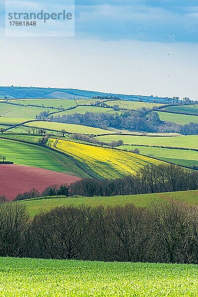 Fields and Meadows over English Village  Berry Pomeroy  Devon  England  United Kingdom