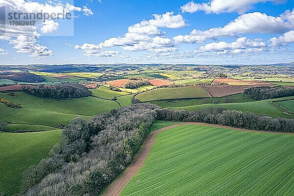 Fields and Meadows over English Village  Berry Pomeroy  Devon  England  United Kingdom