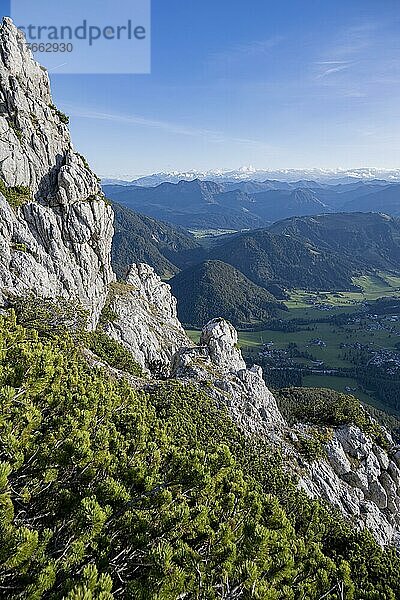 Grüne Berglandschaft  Nuaracher Höhenweg  Loferer Steinberge  Tirol  Österreich  Europa