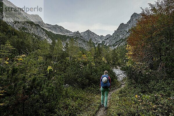 Wanderin auf einem Wanderweg  rüne Berglandschaft  Nuaracher Höhenweg  Loferer Steinberge  Tirol  Österreich  Europa