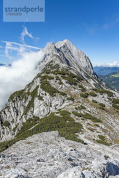 Hochwand Hauptgipfel  Mieminger Gebirge  Tirol  Österreich  Europa