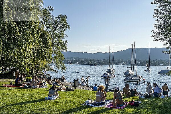 Ufer des Zürichsee  Badegäste entspannen am Abend  Blatterwiese  Zürich  Schweiz  Europa