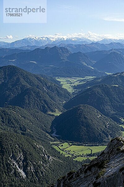 Grüne Berglandschaft hinten Großvenediger  Nuaracher Höhenweg  Loferer Steinberge  Tirol  Österreich  Europa