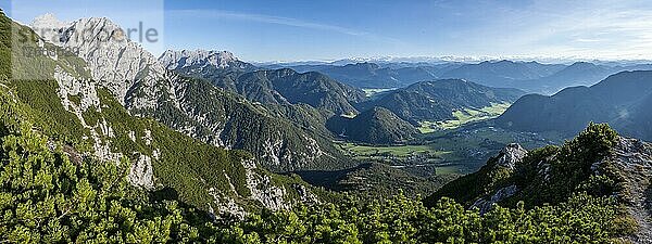 Grüne Berglandschaft  Nuaracher Höhenweg  Loferer Steinberge  Tirol  Österreich  Europa