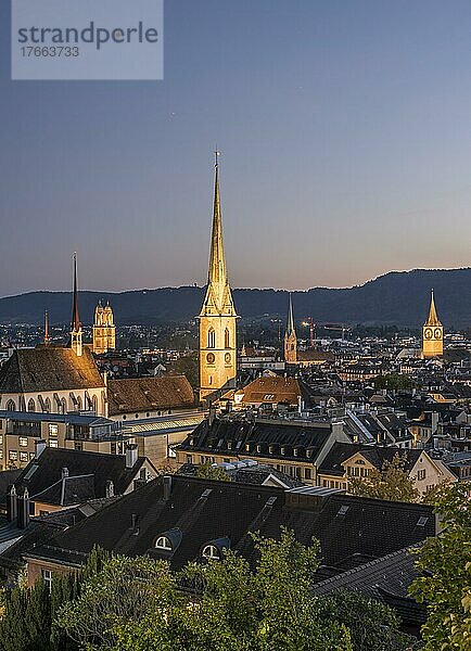 Blick auf die Stadt  Predigerkirche  Kirchtürme von Zürich  Nachtaufnahme  Altstadt von Zürich  Schweiz  Europa