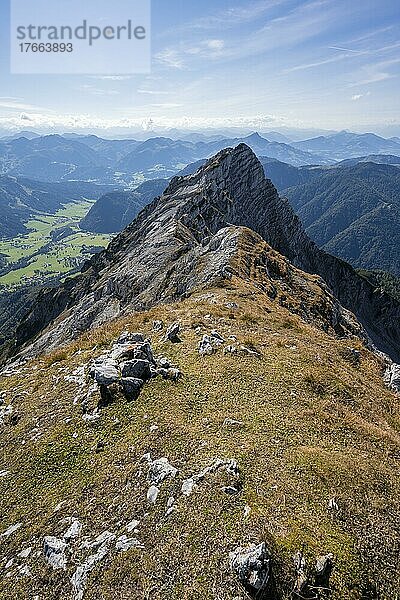 Grüne Berglandschaft  Nuaracher Höhenweg  Loferer Steinberge  Tirol  Österreich  Europa