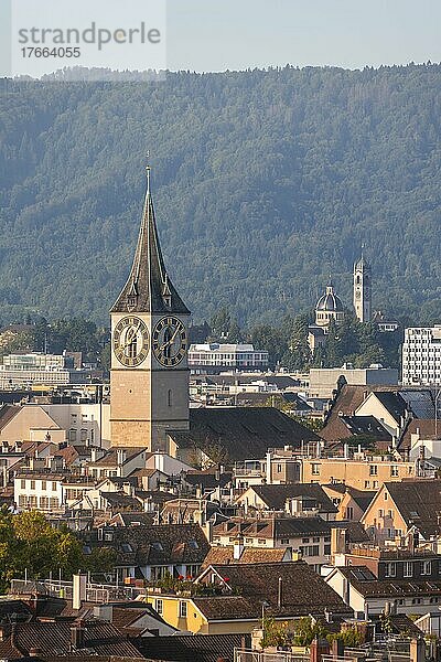 Blick über die Altstadt  Kirchturm der Peterskirche  Zürich  Schweiz  Europa